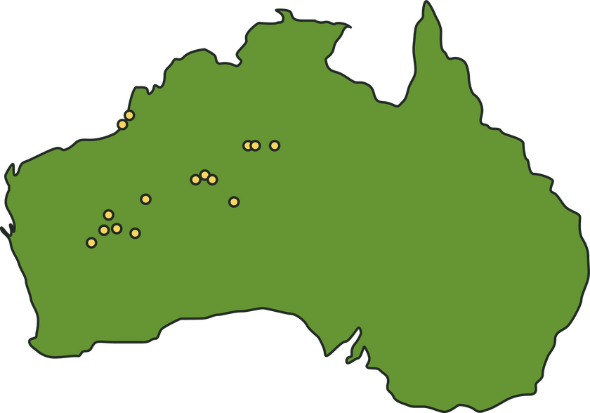 Flat Outlined Australian Map 